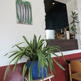 Pingrumba Budapest - Belső