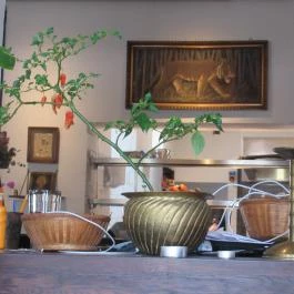 Pingrumba Budapest - Belső