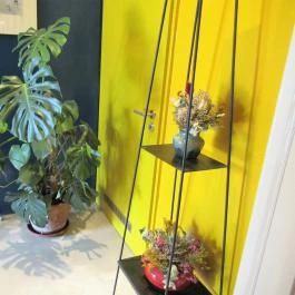 Pingrumba Budapest - Belső