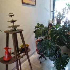 Pingrumba Budapest - Belső