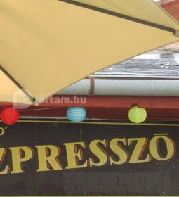 Pink Frog Fagylaltozó-Cukrászda