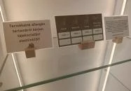 Pink Pistachio Budapest