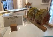 Pink Pistachio Brunch Budapest