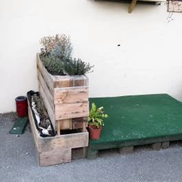 Pipacs Pékség - Bécsi út Budapest - Egyéb