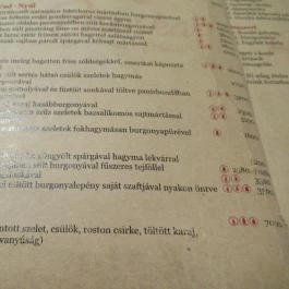 Piroska Étterem, Egerszalók - Étlap/itallap