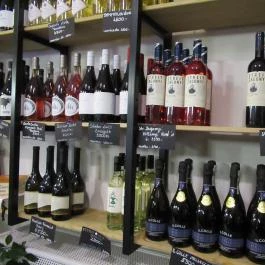 Pizza, Kávé, Világbéke, Miskolc - Étel/ital