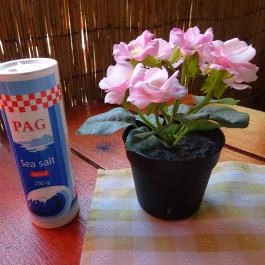 Gyros Kert, Aggtelek - Belső