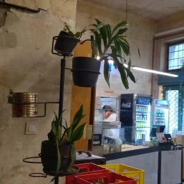 Pizza Manufaktura Budapest - Belső