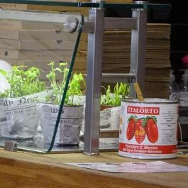 Pizza Manufaktura Budapest - Belső