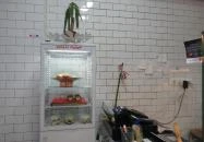 Pizza Pazza - Egyetem tér Budapest