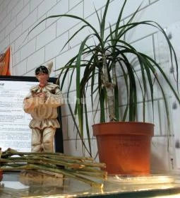 Pizza Pazza - Egyetem tér