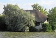 Placc Étterem Székesfehérvár