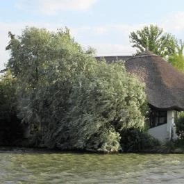 Placc Étterem Székesfehérvár - Egyéb