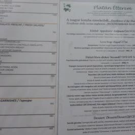 Platán Étterem - Városliget Budapest - Étlap/itallap