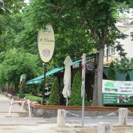 Platán Étterem - Városliget Budapest - Külső kép