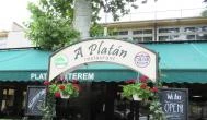 Platán Étterem - Városliget Budapest - Külső kép