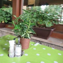 Platán Étterem - Városliget Budapest - Külső kép