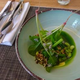 Platán Restaurant & Café, Tata - Étel/ital