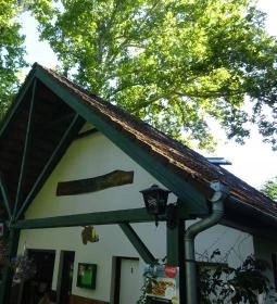 Platán Söröző-Borozó