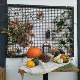 Pódium Budapest - Egyéb