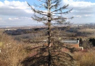 Pogánytorony Budapest