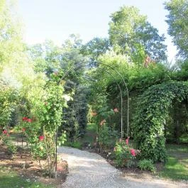 Pollushof Panzió Csolnok - Egyéb