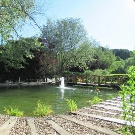 Pollushof Panzió Csolnok - Egyéb