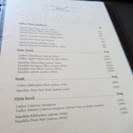 Pollushof Panzió étterme Csolnok - Egyéb