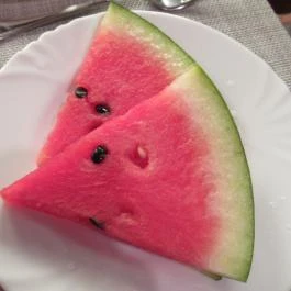 Pollushof Panzió étterme Csolnok - Egyéb