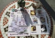 Pompeii Latte Art Caffe - Bajcsy-Zsilinszky út Budapest