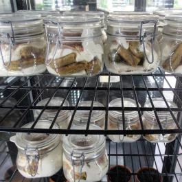 Porto Vino Székesfehérvár - Egyéb