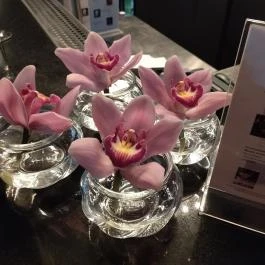 Posner Bistro & Bar Budapest - Egyéb