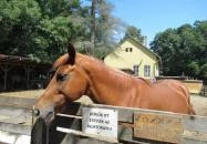 Pósteleki Szabadidő Park Békéscsaba