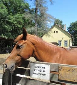 Pósteleki Szabadidő Park