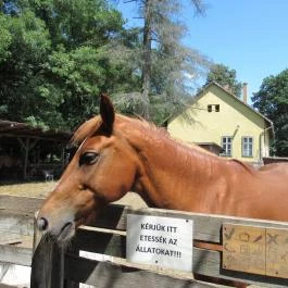 Pósteleki Szabadidő Park Békéscsaba - Egyéb