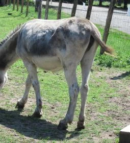 Pósteleki Szabadidő Park