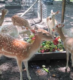 Pósteleki Szabadidő Park