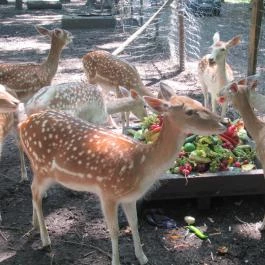 Pósteleki Szabadidő Park Békéscsaba - Egyéb