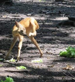 Pósteleki Szabadidő Park