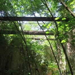 Pósteleki Szabadidő Park Békéscsaba - Egyéb