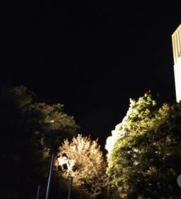 Pozsonyi úti Református Egyházközség