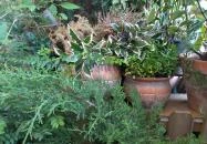 Pr09re55 - Progress Budapest