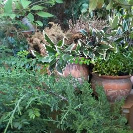 Pr09re55 - Progress Budapest - Egyéb