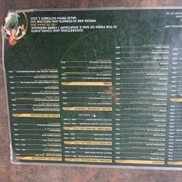 Publin Irish Pub - Andrássy út Budapest - Étlap/itallap