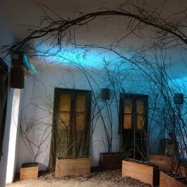 Puchner Kastélyszálló Bikal - Környék