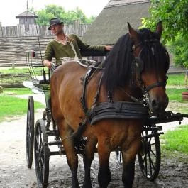 Puchner Kastélyszálló Bikal - Környék