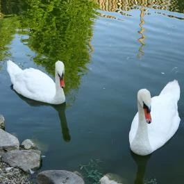 Puchner Kastélyszálló Bikal - Környék