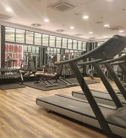 Pullmann Budapest Hotel