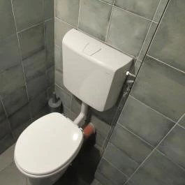 Puppychino Budapest - Mosdó