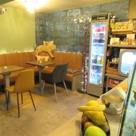 Puppychino Budapest - Belső